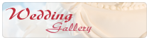 View our Wedding Gallery