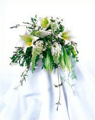 Weddings at Fasan Florist