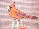 Cardinal