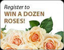 Click & Try Your Luck – Be Our Instant Winner of the Day!