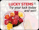 Click & Try Your Luck – Be Our Instant Winner of the Day!