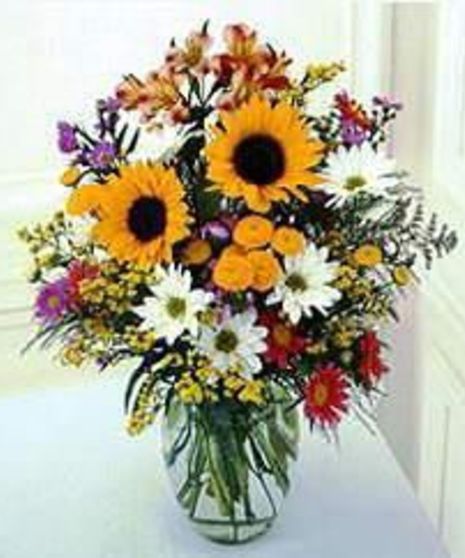 Sunflower Surprise