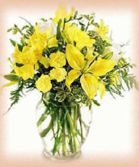 Blooming Autumn Lilies Fresh Cut