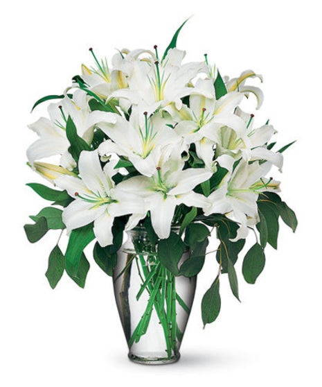 Lilies Of The Field