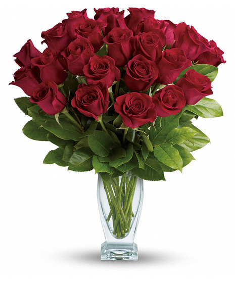 Rose Classique - Dozen Red Roses