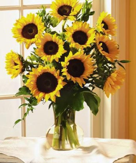 "Autumn Sunflowers"