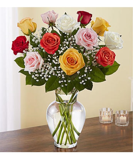 Colorful Rainbow Roses
