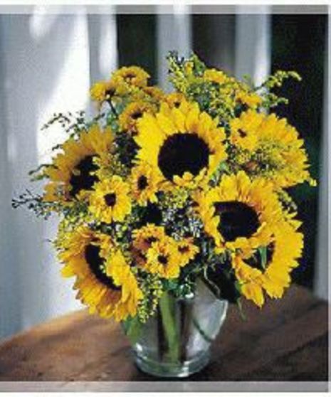 Designed Sunflowers