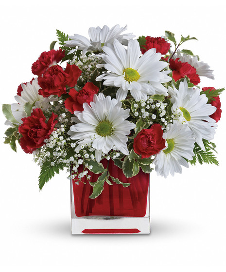 Red And White Delight