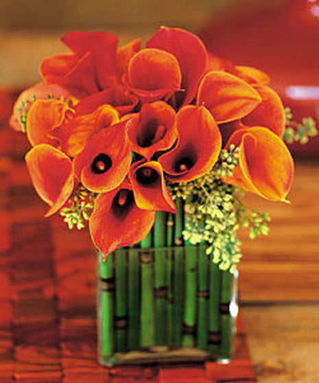 "Bronze Calla Lily Design"