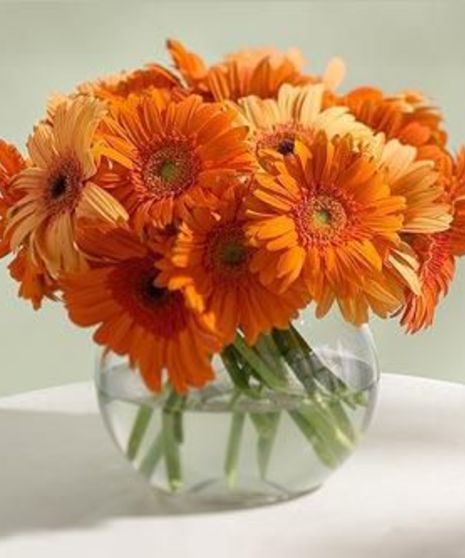 Gerber Daisy Bubble Bowl