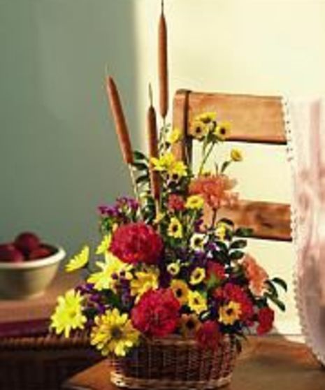 Cat Tails & Flowers